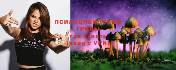 молекула духа Карпинск