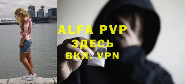 гашик Карталы