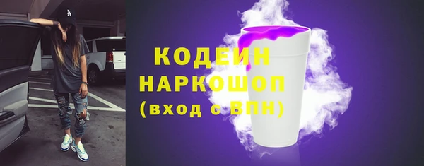 молекула духа Карпинск