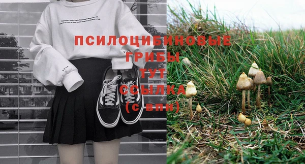 молекула духа Карпинск