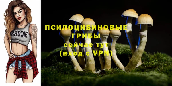 молекула духа Карпинск