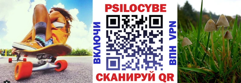 ссылка на мегу зеркало  Клинцы  Галлюциногенные грибы Psilocybine cubensis 